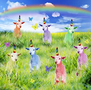 Unicorn: Lambs, spring scene with Butterflies and rainbow