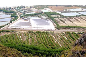 Seedlings: Land Conversion and Restoration