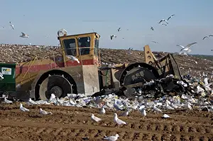 Landfill: Landfill