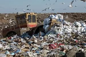 Landfill: Landfill
