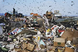 Refuse: Landfill Dump