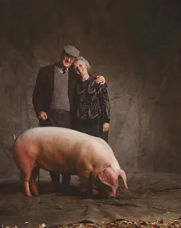 Farmers: LANDRACE GILT PIG - and Owners