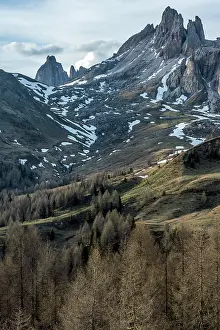 Belluno: Landscape of a Dolomitic valley at 2000m elevation