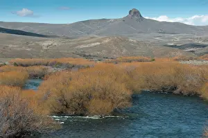 Lanin: Landscape in early spring with trees and river