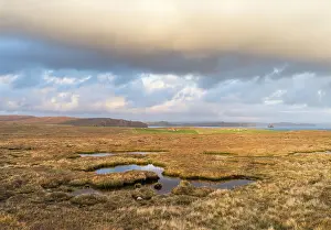Ness: Landscape in Eshaness, Northmavine, Shetland