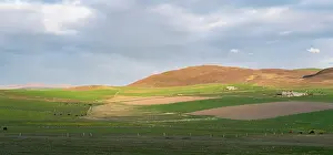 Orkney: Landscape with farms, fields and hills during