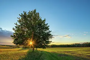 Burgenlandkreis: Landscape with fields at sunset, last evening light