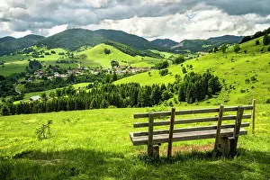 Bench: Landscape with flowering meadows, trees, forest