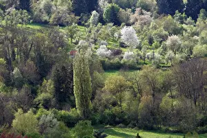 Saone: Landscape in Haute Saone - France
