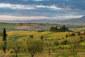 Grove: Landscape with hills and farm with cypress trees
