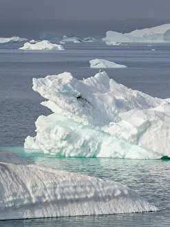 Scary: Landscape in Itilliarsuup Kangerlua Fjord part of Uummannaq