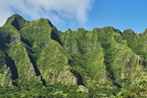 Hawaiian: Landscape of the Kualoa Ranch & Zipline, Hawaiian