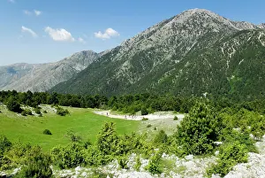 Mountained: Landscape in Llogara, Llogara National Park, Albania