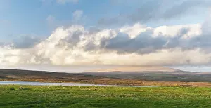 Ness: Landscape in Northmavine, Ronas Hill, the