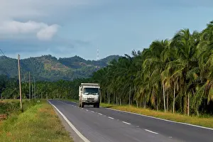Truck: Landscape with oil palm cultivation and deforestation