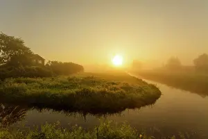 Transmission: Landscape in polder with house amongst bushes during a misty
