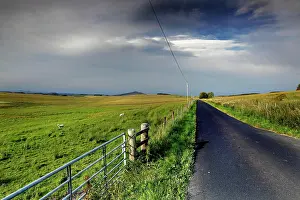 Borders: Landscape, Road, Field, Gate, Scottish Borders
