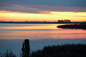Beds: Landscape showing a coastal wetland with water and reed beds