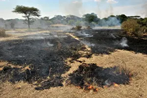 Grumeti: Landscape smoldering from fire