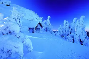 Grosser: Landscape in the snow Great Arber