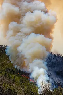 Fire: Landscape in South Africa, forest fire, fire, smoke