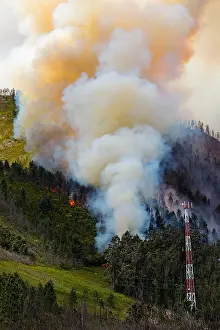 Fire: Landscape in South Africa, forest fire, fire, smoke