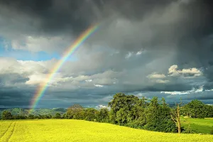 Prismatic: Landscape in spring, a yellow flowering rape field