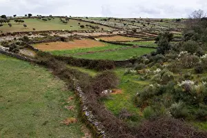 Douro: Landscape with stone walls, Spain