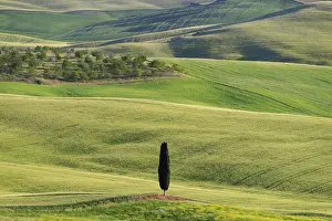 Pienza: Landscape at sunrise around Pienza, Val dOrcia
