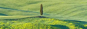 Pienza: Landscape at sunrise around Pienza, Val dOrcia