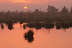 Peat: Landscape of a sunrise above the Rhedener Geestmoor