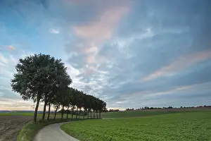 Limburg: Landscape with sunset clouds and trees next to