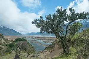 Chile: Landscape with tree and lake near Coyhaique city