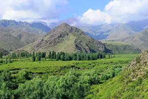 Mendoza: Landscape in Valle de Uco, near Manzano Historico