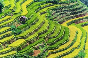 District: Landscape view of rice fields in Mu Cang Chai District