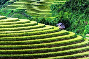District: Landscape view of rice fields in Mu Cang Chai District