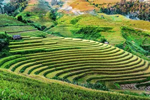 District: Landscape view of rice fields in Mu Cang Chai District