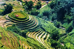Hiker: Landscape view of Sapa Valley in Lao Cai Province