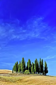 Tuscany: Landscape view of Val d'Orcia, Tuscany, Italy. UNESCO