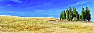Tuscany: Landscape view of Val d'Orcia, Tuscany, Italy. UNESCO