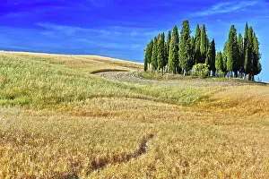 Tuscany: Landscape view of Val d'Orcia, Tuscany, Italy. UNESCO