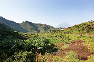 Virunga: Landscapes around Kisoro, Kigezi. This area