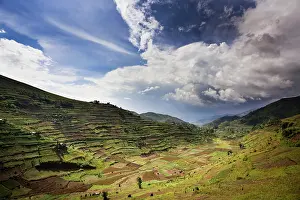 Rainy: Landscapes around Kisoro, Kigezi. This area