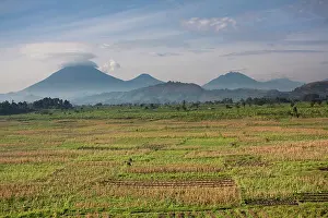 Virunga: Landscapes around Kisoro, Kigezi. This area