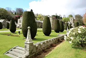 Bodmin: Lanhydrock Country House Gardens