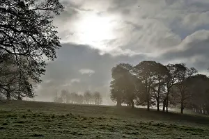 Lanhydrock: Lanhydrock Estate - on misty morning