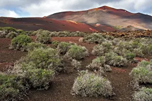 Lanzarote: Lanzarote - volcanic landscape near to Timanfaya