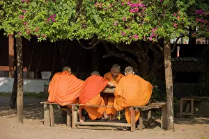Monks: Laos - A group of Buddhist novices at their studies