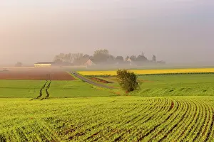 Arable: LARGE AGRICULTURAL CULTURE IN OISE IN FRANCE