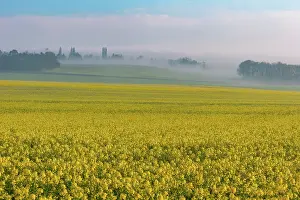 Arable: LARGE AGRICULTURAL CULTURE IN OISE IN FRANCE